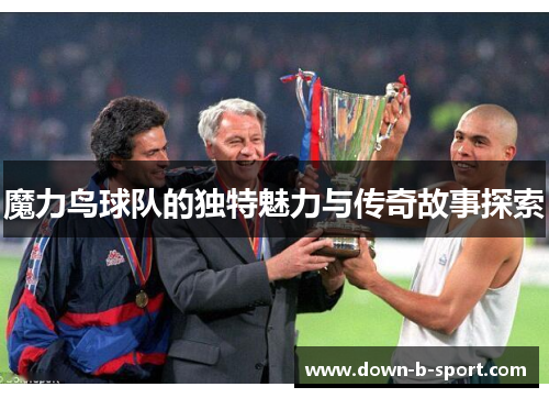 魔力鸟球队的独特魅力与传奇故事探索